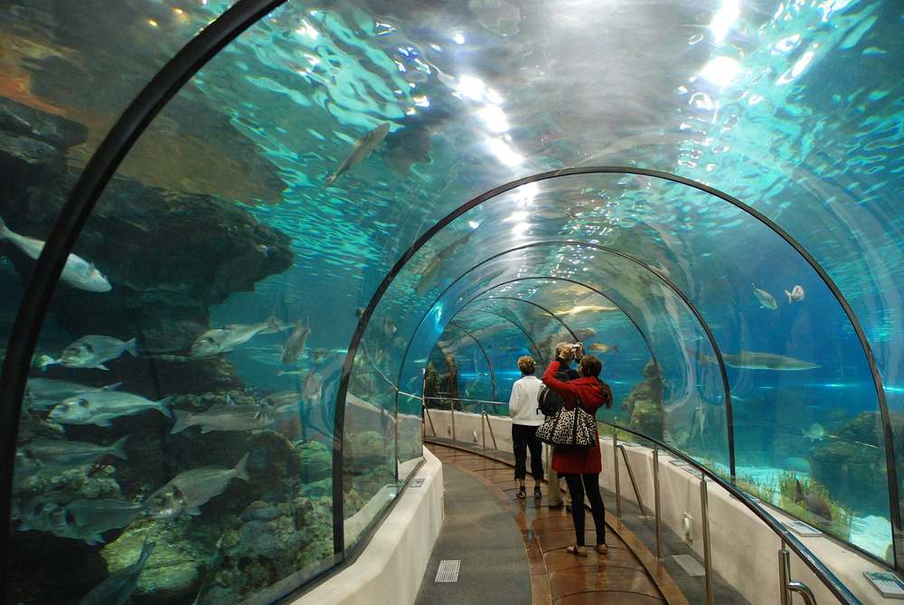 L'Aquàrium